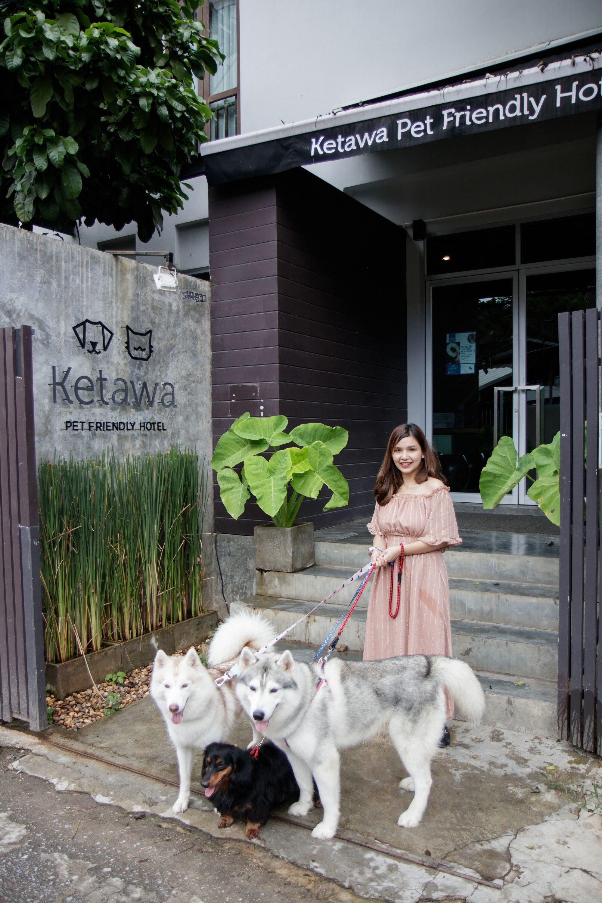 Ketawa Pet Friendly Hotel