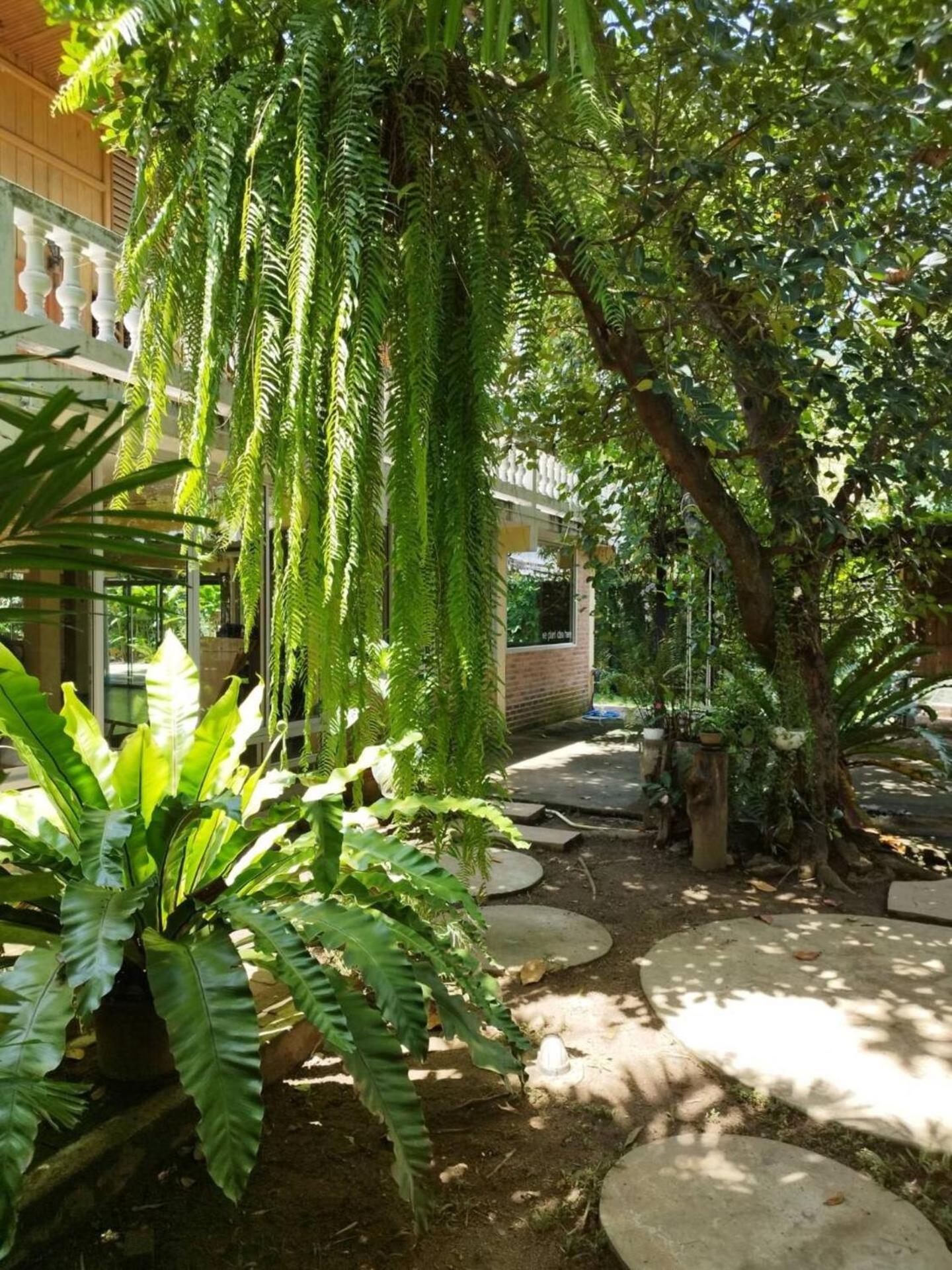 Atelier 36 Hotel - Chiang Mai