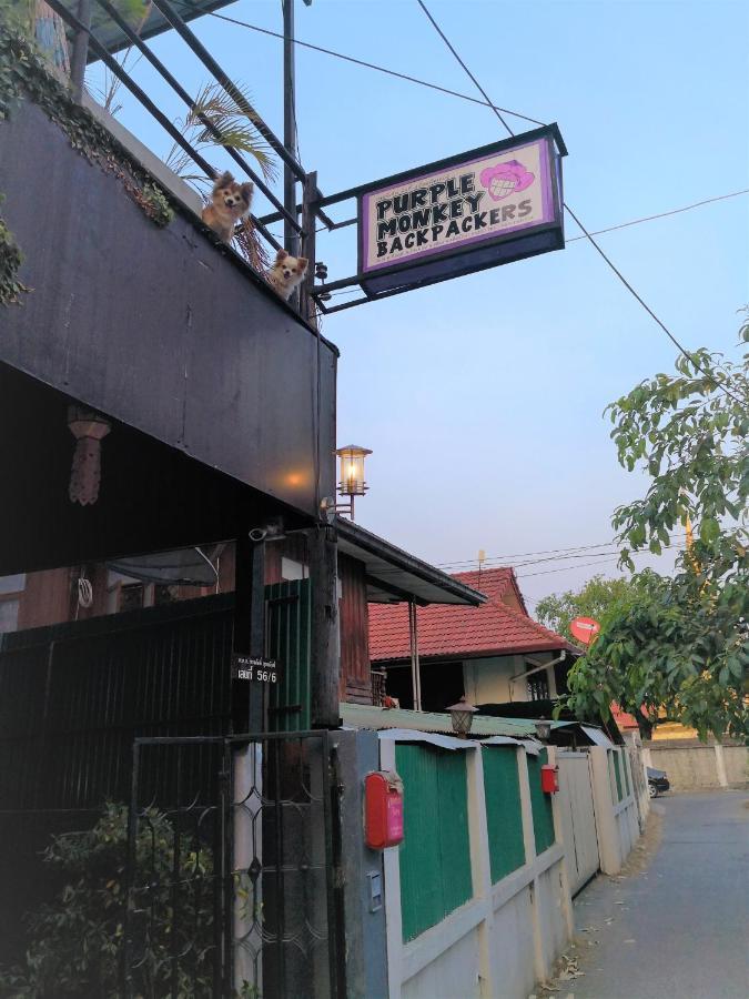 Purple Monkey Backpackers Chiang Mai Hostel