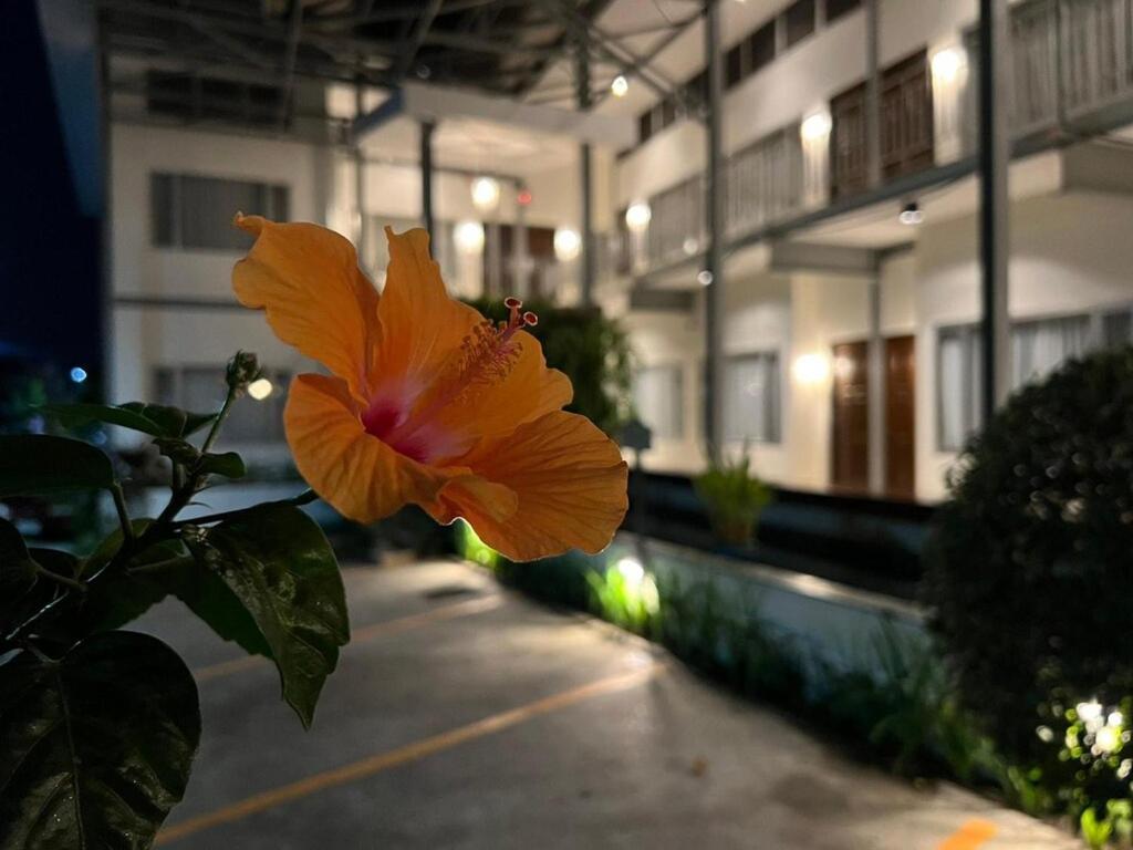 3B Boutique Hotel & Restaurant