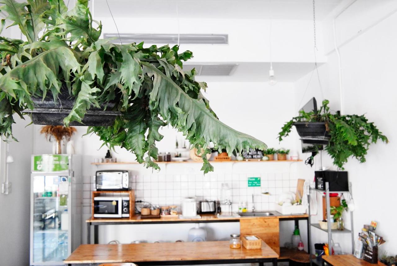 Green Sleep Hostel - Chiang Mai