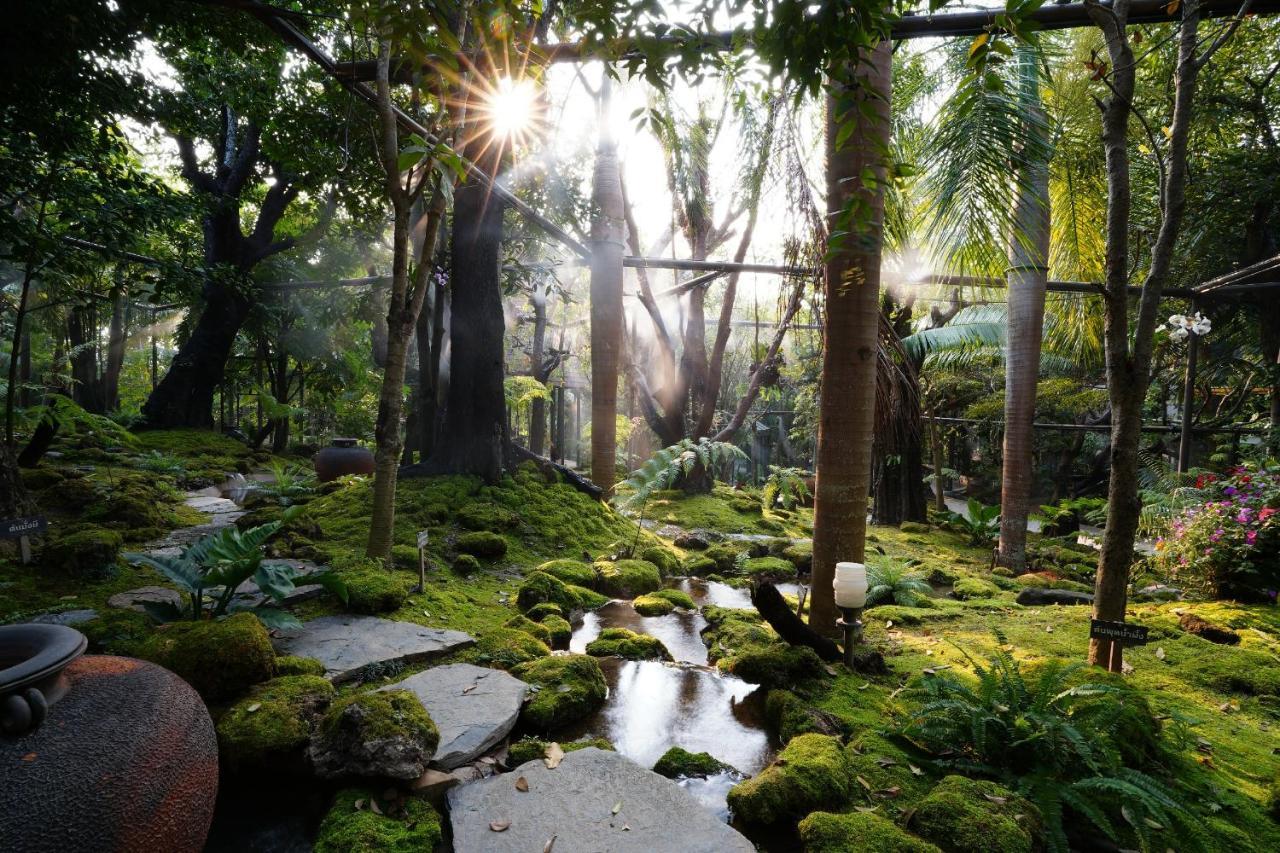 Treescape Resort Chiangmai